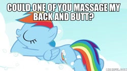 Size: 600x337 | Tagged: safe, edit, edited screencap, imported from derpibooru, screencap, rainbow dash, pegasus, pony, testing testing 1-2-3, bronybait, butt, caption, female, image macro, mare, meme, memeful.com, plot