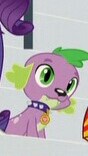 Size: 88x156 | Tagged: safe, imported from derpibooru, screencap, rarity, spike, sunset shimmer, dog, equestria girls, rainbow rocks, cropped, male, puppy, solo focus, spike the dog