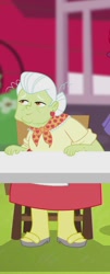 Size: 244x604 | Tagged: safe, imported from derpibooru, screencap, granny smith, rainbow dash, a case for the bass, equestria girls, cropped, female, lunchlady smith, smiling, solo