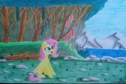 Size: 2730x1832 | Tagged: safe, artist:ironbeastz, imported from derpibooru, fluttershy, butterfly, pony, female, solo, traditional art, tree