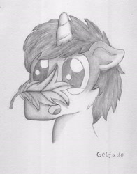 Size: 1984x2530 | Tagged: safe, artist:geljado, imported from derpibooru, oc, oc only, oc:geljado, unicorn, drawing, male, monochrome, sketch, solo, traditional art