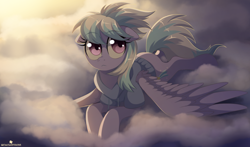 Size: 1360x800 | Tagged: dead source, safe, artist:verawitch, deleted from derpibooru, imported from derpibooru, cloudchaser, pegasus, pony, :<, clothes, cloud, cloudy, cute, female, hoodie, mare, sky, solo, sweater