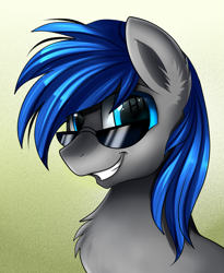 Size: 1443x1764 | Tagged: safe, artist:pridark, imported from derpibooru, oc, oc only, pony, looking at you, male, smiling, solo, stallion, sunglasses