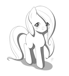Size: 900x1000 | Tagged: safe, artist:jdan-s, imported from derpibooru, fluttershy, marble pie, oc, earth pony, pony, blush sticker, blushing, female, fusion, inktober, inktober 2017, mare, monochrome, not shipping, shy, solo