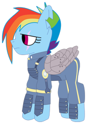 Size: 1024x1448 | Tagged: safe, artist:frannis, imported from derpibooru, rainbow dash, pegasus, pony, the cutie re-mark, alternate timeline, amputee, apocalypse dash, augmented, crystal war timeline, female, mare, prosthetic limb, prosthetic wing, prosthetics, scar, simple background, solo, torn ear, transparent background