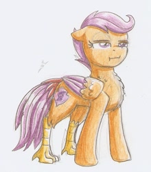 Size: 577x656 | Tagged: safe, artist:ravenpuff, imported from derpibooru, scootaloo, hippalectryon, pony, :i, chest fluff, cutie mark, female, greek mythology, scootachicken, simple background, solo, species swap, the cmc's cutie marks, traditional art, unamused, white background