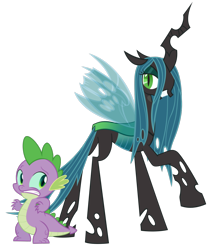 Size: 1012x1180 | Tagged: safe, edit, imported from derpibooru, vector edit, queen chrysalis, spike, changeling, changeling queen, dragon, body swap, duo, female, former queen chrysalis, grin, gritted teeth, male, payback, revenge, scared, simple background, smiling, spell gone wrong, this will end in pain, this will end in tears, this will end in tears and/or death, transparent background, vector, worried