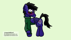 Size: 1920x1080 | Tagged: safe, artist:jrapcdaikari, imported from derpibooru, oc, oc only, oc:paladin colt, pegasus, pony, blushing, clothes, cute, green background, male, ocbetes, simple background, stallion, sweater