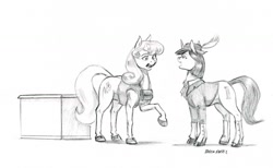 Size: 1500x926 | Tagged: safe, artist:baron engel, imported from derpibooru, oc, oc only, oc:brilliant flower, oc:marble vein, earth pony, pony, unicorn, female, grayscale, hat, mare, monochrome, pencil drawing, raised hoof, simple background, sketch, smiling, spats, traditional art, white background