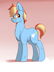 Size: 900x1200 | Tagged: safe, artist:passigcamel, imported from derpibooru, oc, oc only, oc:matt dyllis, earth pony, pony, bandaid, bandaid on nose, gradient background, magical lesbian spawn, male, offspring, parent:applejack, parent:rainbow dash, parents:appledash, solo, stallion, whistle