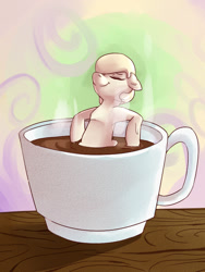 Size: 600x800 | Tagged: safe, artist:passigcamel, imported from derpibooru, oc, oc only, oc:marmell, earth pony, pony, chocolate, cup, female, food, hot chocolate, mare, relaxing, solo