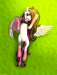 Size: 2077x2713 | Tagged: safe, artist:deltahedgehog, imported from derpibooru, oc, oc only, oc:tiny jiss, pegasus, pony, choker, cute, female, grass, heterochromia, mare, simple background, solo, spiked choker