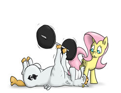 Size: 3000x2310 | Tagged: safe, artist:timsplosion, imported from derpibooru, bulk biceps, fluttershy, ear piercing, earring, fanfic, fanfic art, jewelry, piercing, weight, weight lifting