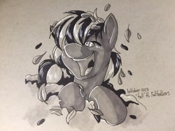 Size: 1280x960 | Tagged: safe, artist:sugaryviolet, imported from derpibooru, oc, oc only, oc:fallfeatherspony, pony, inktober, solo, traditional art