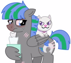 Size: 3342x2951 | Tagged: safe, artist:kindheart525, imported from derpibooru, oc, oc only, oc:storm strike, oc:taaffeite, cat, pegasus, pony, kindverse, allergies, bloodshot eyes, parent:blossomforth, parent:thunderlane, parents:blossomlane, pet oc, red nosed, scratches, simple background, tissue, tissue box, white background