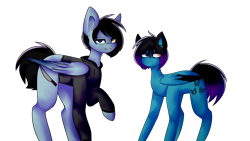 Size: 2560x1440 | Tagged: safe, artist:despotshy, imported from derpibooru, oc, oc only, oc:despot, oc:despy, pegasus, pony, clothes, female, heterochromia, male, mare, rule 63, simple background, stallion, transparent background