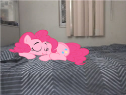 Size: 2662x1997 | Tagged: safe, imported from derpibooru, pinkie pie, bed, irl, photo, ponies in real life, sleeping, vector, window