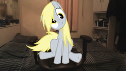 Size: 1862x1047 | Tagged: safe, imported from derpibooru, derpy hooves, irl, photo, ponies in real life