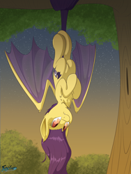 Size: 3000x4000 | Tagged: safe, artist:fluffyxai, imported from derpibooru, oc, oc only, bat pony, pony, bat wings, chest fluff, cute, cute little fangs, fangs, hanging, hanging upside down, looking down, looking up, solo, tree