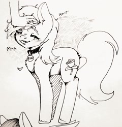 Size: 2076x2160 | Tagged: artist needed, safe, artist:palace, imported from derpibooru, roseluck, earth pony, pony, behaving like a cat, blushing, chest fluff, collar, commissioner:doom9454, cute, ear fluff, eyes closed, female, fluffy, hand, hoof fluff, leg fluff, mare, monochrome, offscreen character, pet tag, petting, pony pet, profile, purring, rosepet, smiling, standing, tongue out, traditional art