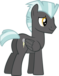 Size: 586x754 | Tagged: safe, artist:drwhoovesde, imported from derpibooru, thunderlane, pegasus, pony, male, simple background, solo, transparent background, vector