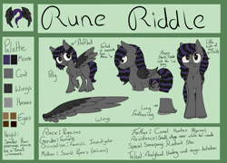 Size: 1024x737 | Tagged: safe, artist:chezamoon18, imported from derpibooru, oc, oc only, oc:rune riddle, pegasus, pony, cutie mark, female, mare, reference sheet, text, unshorn fetlocks, wings