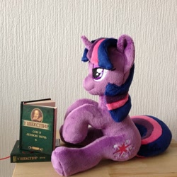 Size: 960x960 | Tagged: safe, artist:burgunzik, imported from derpibooru, twilight sparkle, pony, unicorn, book, irl, photo, plushie, russian, sitting, solo