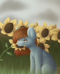 Size: 2840x3500 | Tagged: safe, artist:spirit-dude, imported from derpibooru, oc, oc only, oc:spirit rose, pegasus, pony, eating, female, flower, flower in mouth, grass, herbivore, horses doing horse things, mare, mouth hold, solo, sunflower