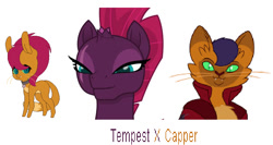 Size: 861x457 | Tagged: safe, artist:strawberryparty, imported from derpibooru, capper dapperpaws, tempest shadow, oc, abyssinian, anthro, my little pony: the movie, chest fluff, parent:capper, parent:capper dapperpaws, parent:tempest shadow, parents:tapper, tapper