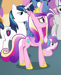 Size: 365x445 | Tagged: safe, imported from derpibooru, screencap, night light, princess cadance, princess flurry heart, shining armor, twilight velvet, pony, once upon a zeppelin, butt, cropped, lovebutt, plot