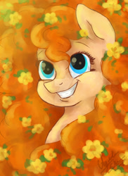Size: 1024x1410 | Tagged: safe, artist:pokemonka225dw, artist:spacesheep-art, imported from derpibooru, pear butter, earth pony, pony, the perfect pear, deviantart watermark, female, huge mane, impossibly large mane, mare, obtrusive watermark, smiling, solo, watermark