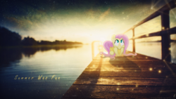 Size: 1920x1080 | Tagged: safe, artist:minhbuinhat99, edit, imported from derpibooru, fluttershy, irl, photo, ponies in real life, solo, wallpaper, wallpaper edit