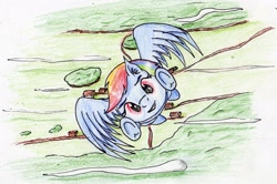Size: 2304x1530 | Tagged: safe, artist:40kponyguy, derpibooru exclusive, imported from derpibooru, rainbow dash, pegasus, pony, ear fluff, female, flying, looking at you, solo, spread wings, traditional art, underhoof, wings
