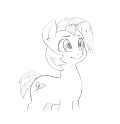 Size: 1080x1116 | Tagged: safe, artist:trickydick, imported from derpibooru, babs seed, earth pony, pony, cute, ear piercing, earring, female, filly, grayscale, jewelry, monochrome, older, piercing, simple background, sketch, solo, white background