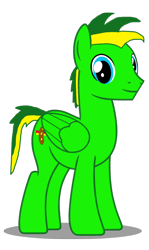 Size: 1024x1723 | Tagged: safe, artist:didgereethebrony, imported from derpibooru, oc, oc only, oc:didgeree, pegasus, pony, 2018 community collab, derpibooru community collaboration, needs more saturation, simple background, solo, transparent background