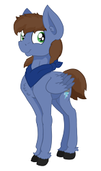 Size: 2312x3913 | Tagged: safe, artist:paskanaakka, derpibooru exclusive, imported from derpibooru, oc, oc only, oc:pat thundersnow, pegasus, pony, 2018 community collab, derpibooru community collaboration, chest fluff, ear fluff, neckerchief, simple background, smiling, solo, transparent background, unshorn fetlocks