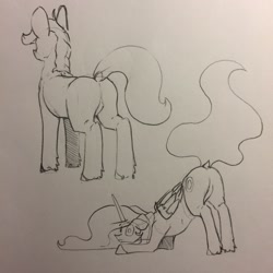 Size: 1280x1280 | Tagged: safe, artist:greyscaleart, imported from derpibooru, princess celestia, pony, butt, featureless crotch, plot, sketch, traditional art