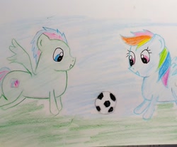 Size: 1202x994 | Tagged: safe, artist:sumi-mlp25, derpibooru exclusive, imported from derpibooru, rainbow dash, oc, pegasus, pony, female, football, male, sports, traditional art