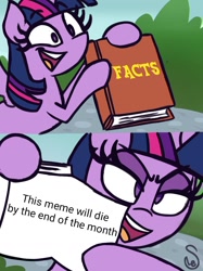 Size: 760x1015 | Tagged: safe, artist:quarium edits, edit, editor:moonatik, imported from derpibooru, twilight sparkle, alicorn, 2 panel comic, comic, ed edd n eddy, exploitable, exploitable meme, female, it didn't happen, jossed, meme, solo, twilight sparkle (alicorn), twilight's fact book