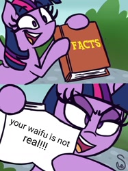 Size: 760x1015 | Tagged: safe, artist:quarium edits, edit, imported from derpibooru, twilight sparkle, alicorn, anti-bronybait, book, ed edd n eddy, evil grin, exploitable meme, grin, meme, pure unfiltered evil, reality ensues, reality sucks, smiling, truth, twilight sparkle (alicorn), twilight's fact book, waifu, we know