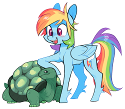 Size: 820x716 | Tagged: safe, artist:xenon, imported from derpibooru, rainbow dash, tank, pegasus, pony, cute, dashabetes, duo, female, folded wings, looking at each other, mare, simple background, smiling, transparent background, unshorn fetlocks