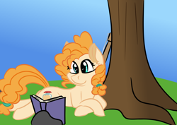 Size: 3496x2480 | Tagged: safe, artist:jubyskylines, imported from derpibooru, pear butter, book, cute, female, guitar, reading, simple background, solo, tree