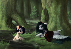 Size: 2123x1472 | Tagged: safe, artist:graypillow, imported from derpibooru, oc, oc only, pony, nature, river, scenery