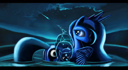 Size: 1204x663 | Tagged: safe, artist:auroriia, imported from derpibooru, princess luna, alicorn, bear, pony, ursa, ursa minor, cub, female, night, shooting star, solo, water