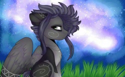 Size: 512x316 | Tagged: safe, artist:doux-ameri, imported from derpibooru, oc, oc only, oc:kama, pegasus, pony, female, lowres, mare, night, solo