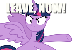 Size: 1200x847 | Tagged: safe, imported from derpibooru, twilight sparkle, alicorn, once upon a zeppelin, female, gtfo, image macro, meme, simple background, solo, twilight sparkle (alicorn), unamused, white background