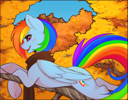 Size: 1280x996 | Tagged: safe, artist:spittfireart, color edit, edit, edited edit, imported from derpibooru, rainbow dash, pegasus, pony, autumn, clothes, colored, cute, female, leaves, mare, open mouth, prone, scarf, slim, smiling, solo, tree, underhoof