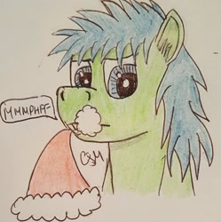 Size: 955x960 | Tagged: safe, artist:rapidsnap, imported from derpibooru, oc, oc only, oc:rapidsnap, pony, christmas, grumpy, hat, holiday, santa hat, solo, traditional art