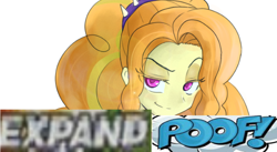 Size: 924x507 | Tagged: safe, artist:kotoura shogo, imported from derpibooru, adagio dazzle, human, equestria girls, rainbow rocks, caption, cropped, expand dong, exploitable meme, female, hair, image macro, looking at you, meme, reaction image, solo