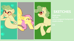 Size: 5000x2813 | Tagged: safe, artist:kiwiscribbles, imported from derpibooru, fluttershy, oc, oc:kiwi scribbles, bat pony, commission info, flutterbat, race swap